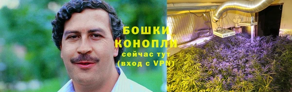дурь Надым