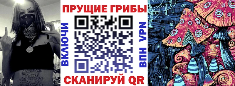 Псилоцибиновые грибы мицелий  где продают наркотики  Карпинск 