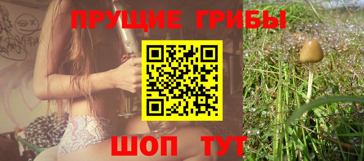 Псилоцибиновые грибы MAGIC MUSHROOMS  продажа наркотиков  Карпинск 