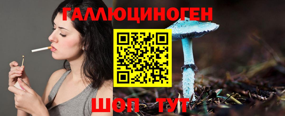 Галлюциногенные грибы Psilocybine cubensis Карпинск