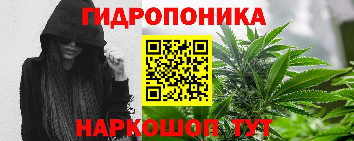Бошки Шишки планчик Карпинск